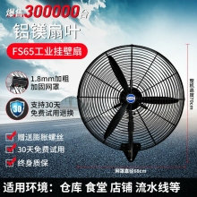 fs65-鋁鎂扇葉-掛壁扇工業(yè)電風(fēng)扇強力落地扇大風(fēng)量牛角扇商用機械大功率車間工廠壁掛扇